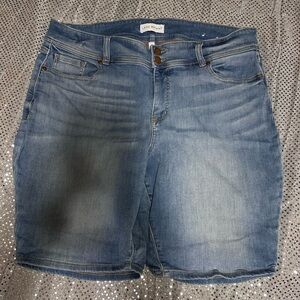 Lane Bryant Classic Blue Denim